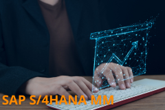 SAP S/4HANA - Materials Management Overview Basics